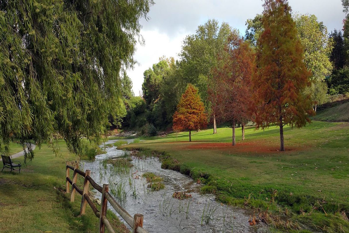 Close-Up People Thriving in Laguna Woods Village - ACTIVE OLDER ADULTS